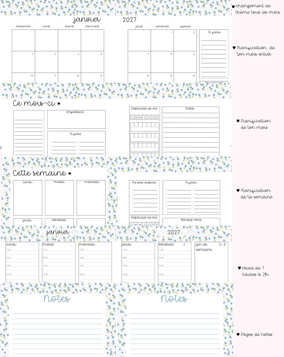Agenda planificateur | Daté | 2026-2027 | Fruits et coquette